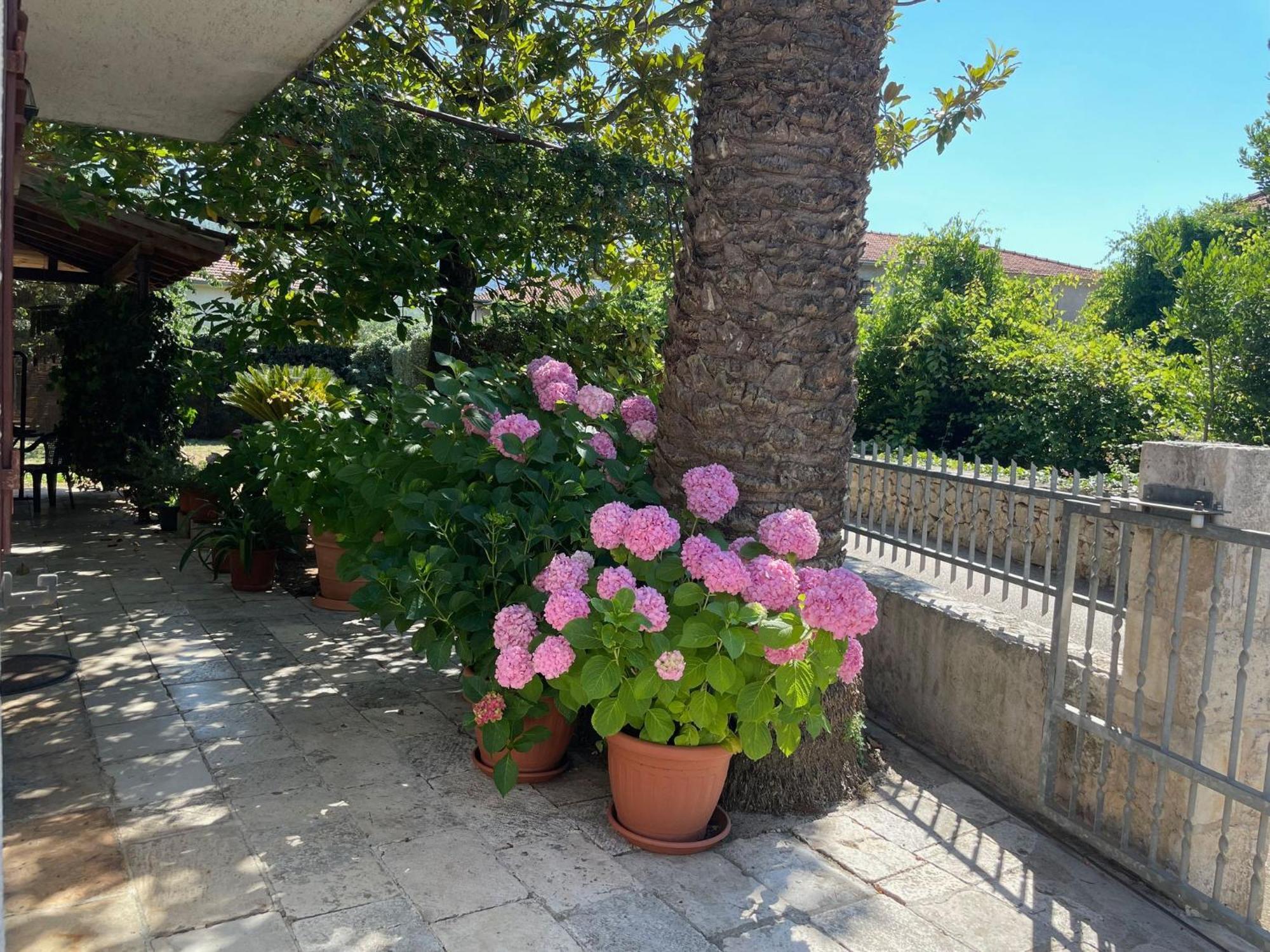 Hvar Guesthouse - Double Bedroom With Private Bathroom Jelsa  Eksteriør bilde